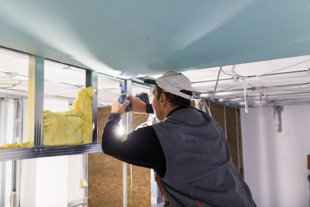 Best Specialized Insulation Services in Seneca, IL