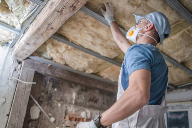 Best Geographic-Specific Insulation Services in Seneca, IL