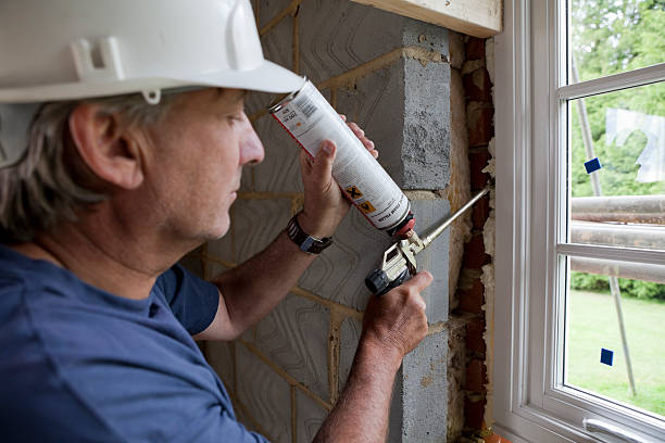 Best Residential Insulation in Seneca, IL